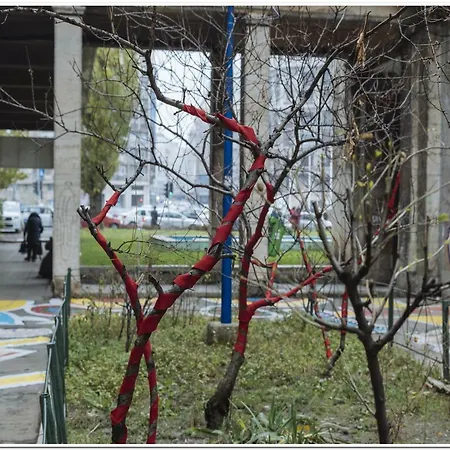 Orinoco Old Boekarest