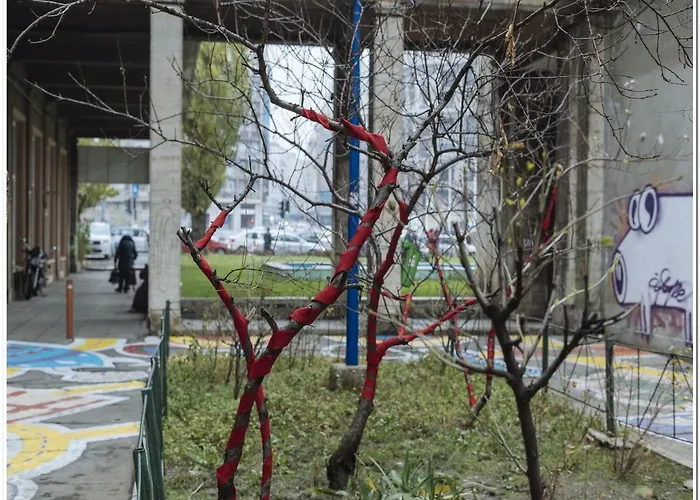 Orinoco Old ブカレスト